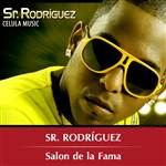 Se Que Te Vas (Feat. Omega) - Sr. Rodriguez